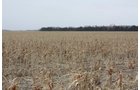 Property photo 39 - Kansas Land Auction - 960 Acres - 7 Farms in 3 Counties